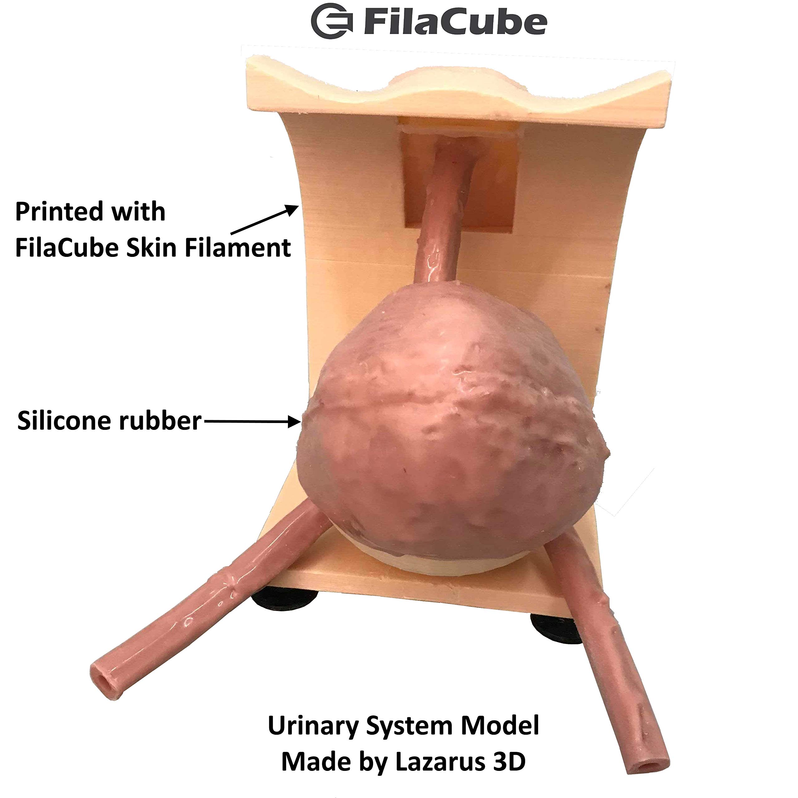 FilaCube PLA 2 Light Skin Color Tone 1.75mm 3D Printer Filament 1kg - Premium PLA Filament for Human Organ Models, Body Girl Toys & Epidermis Simulation | Made in USA | Ideal for Medical Education, Cosplay & Artistic Creations