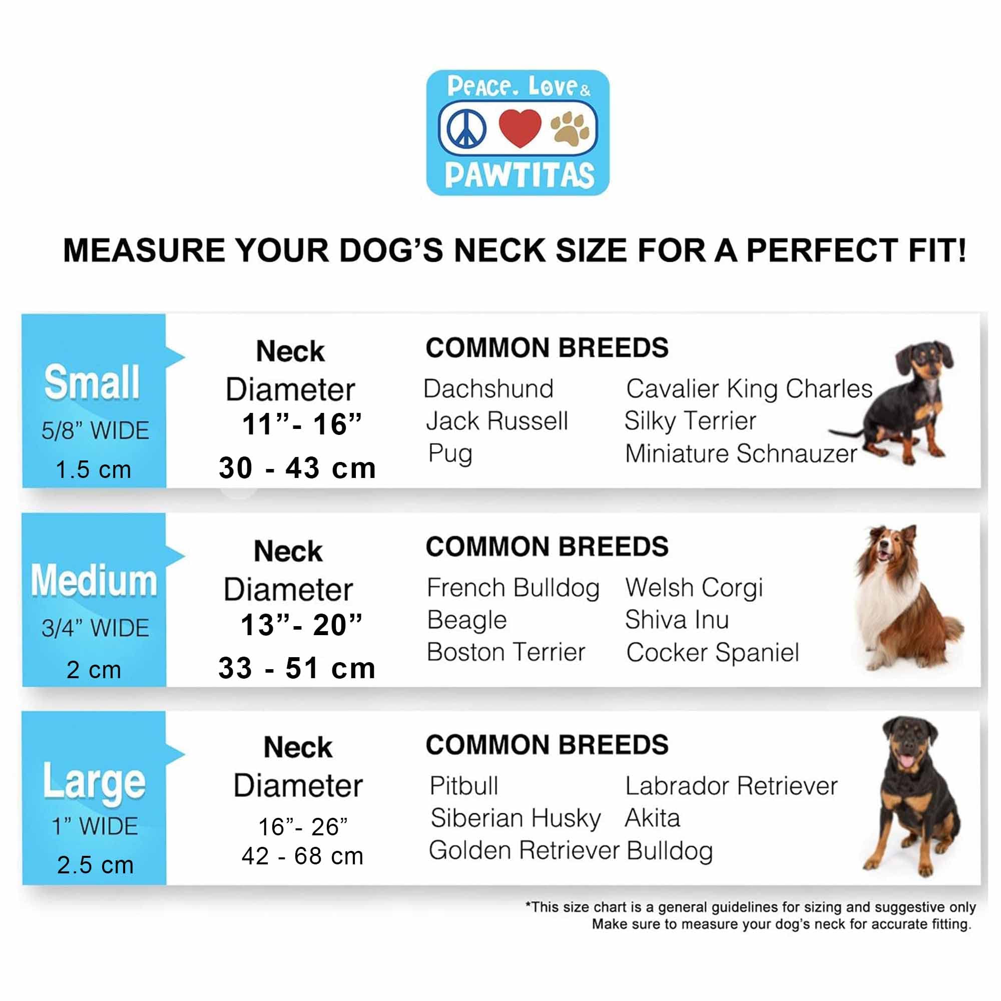 Reflective Martingale Dog Collar - Adjustable Safety Collar for Night Walks, Training & Outdoor Adventures with Bright LED Visibility
