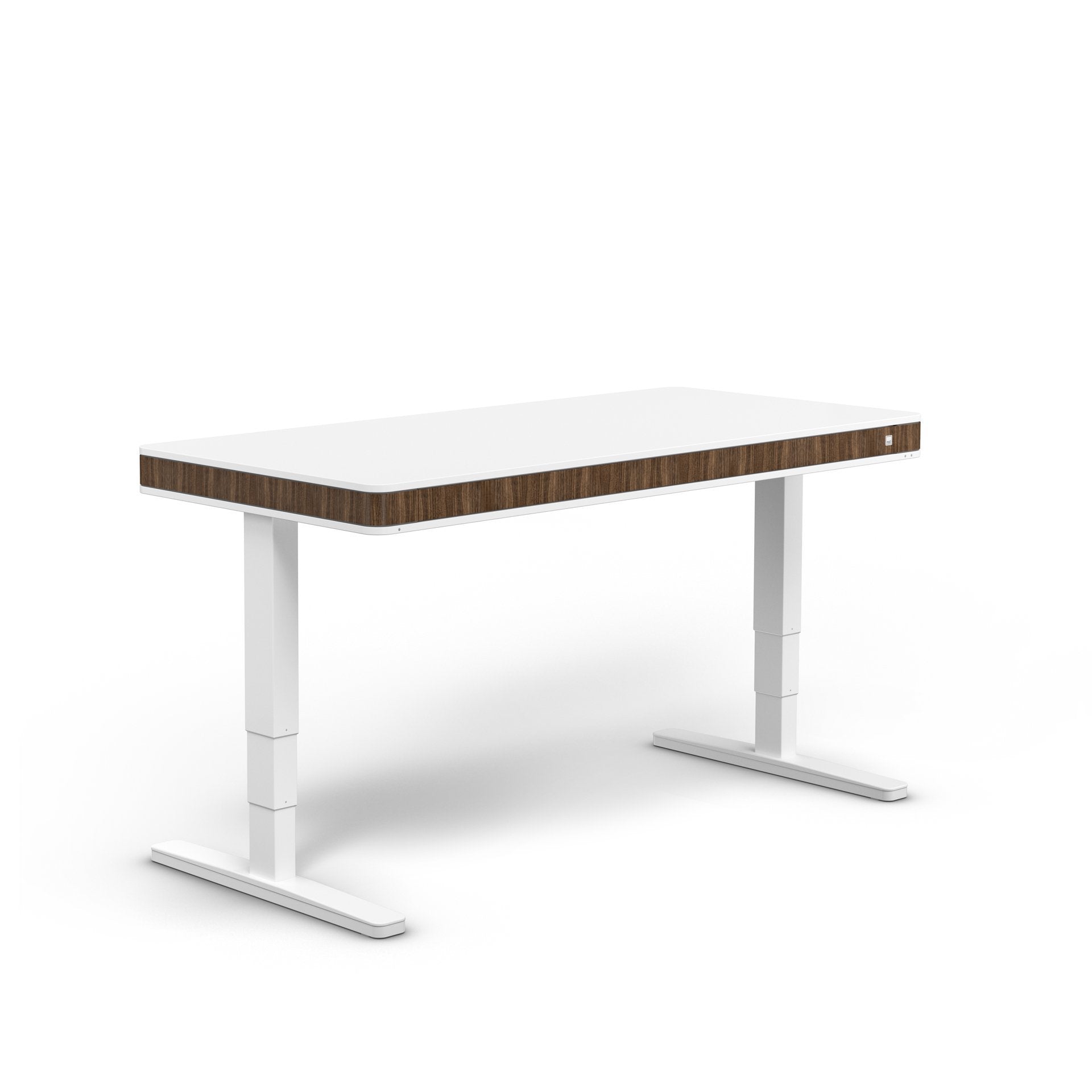 Moll T7 XL Electric Standing Desk - Adjustable Height Office Desk for Home & Workspace, Ergonomic Sit Stand Desk with Quiet Motor - Perfect for Remote Work, Gaming & Study