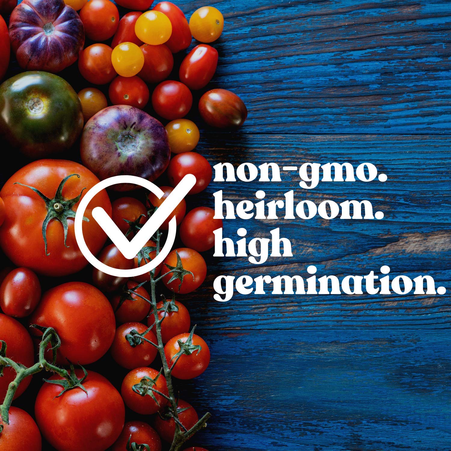 Heirloom Cherry Tomato Seeds - Non-GMO, Open Pollinated 'Gardener's Delight' Variety (4oz ~30,000 Seeds) - Solanum lycopersicum for Home Garden & Farm - Perfect for Salads, Canning & Fresh Eating