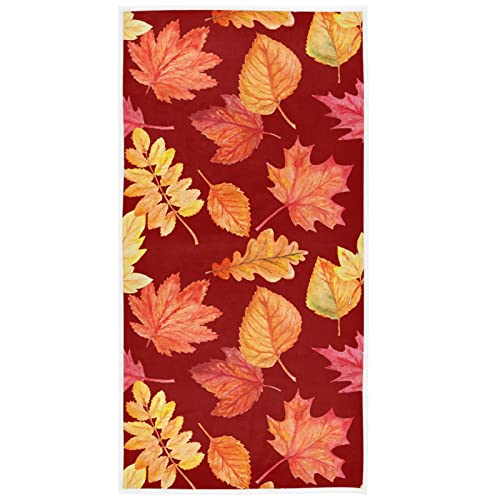 Maple Leaves