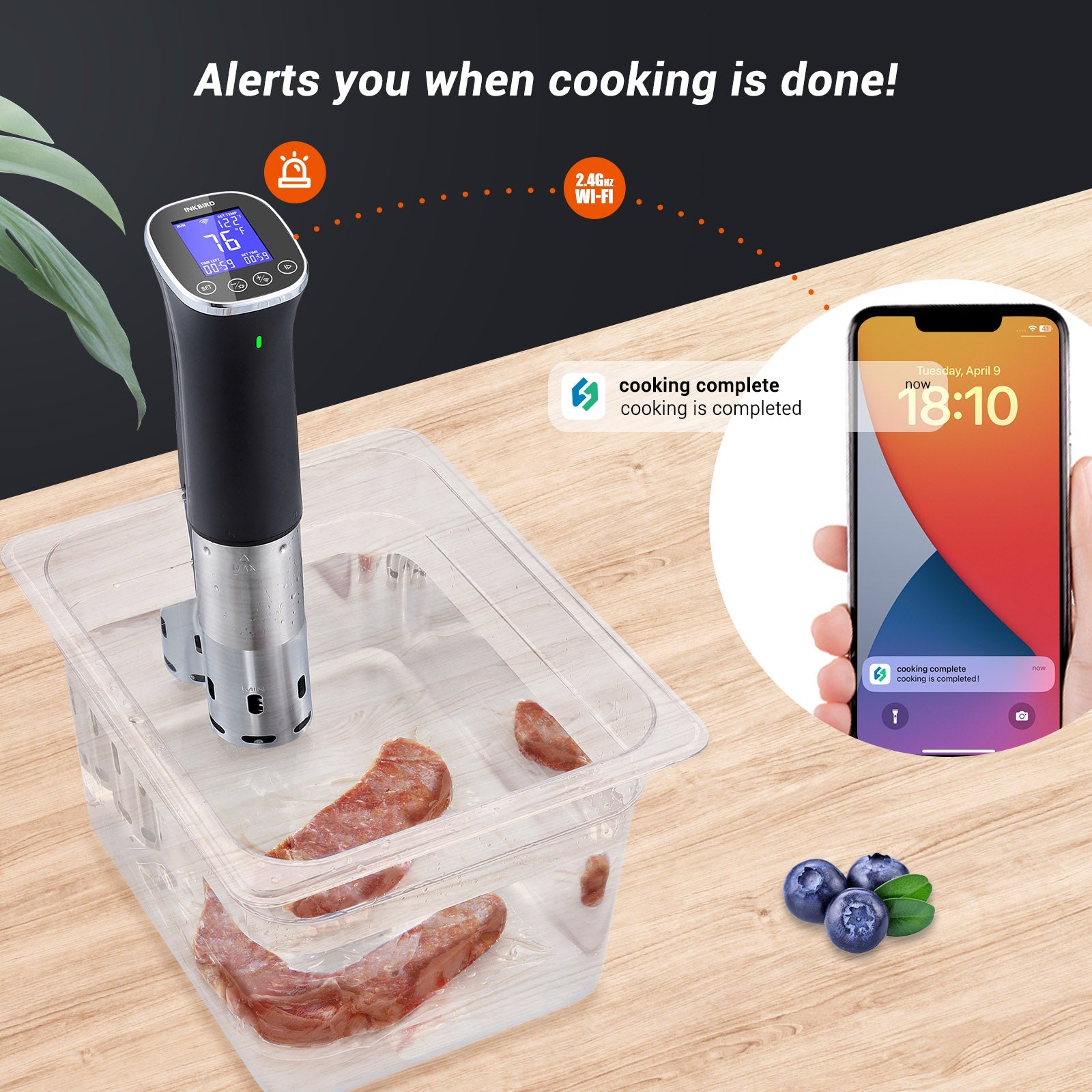 WiFi Sous Vide Cooker ISV 300W - Precision Temperature Control for Perfect Steaks, Chicken & Seafood | Smart App Control | Ideal for Home Chefs & Sous Vide Beginners | Great for Meal Prep & Gourmet Cooking