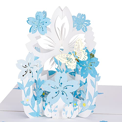 Blue Butterfly