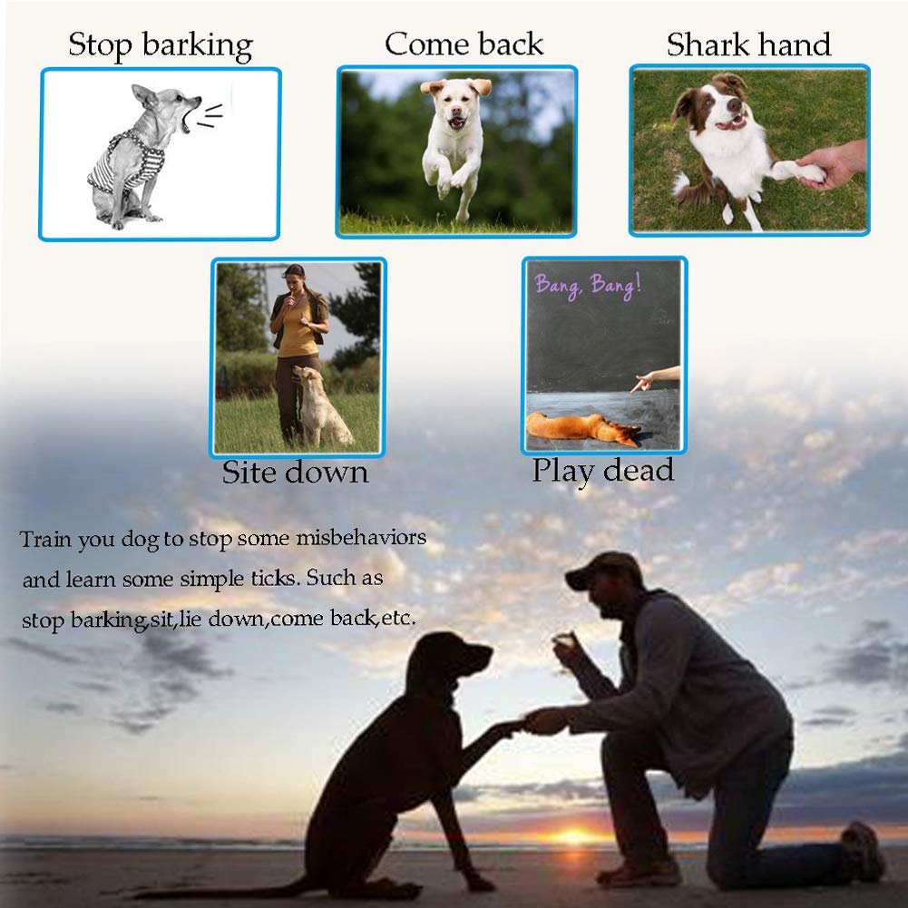 DDS Store Dog Training Whistle & Clicker Combo for Barking Control – Ultrasonic Dog Whistle with Lanyard & Training Clicker Kit with Wrist Strap (Pack of 1) – Perfect for Obedience Training, Puppy Behavior Correction & Outdoor Use