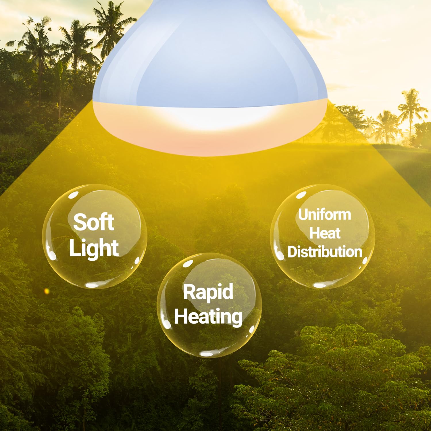 REPTIZOO Reptile Heat Lamp 2 Pack - 50W UVA Daylight Basking Spot Bulb for Bearded Dragons, Tortoises, Geckos & Chickens - Ideal for Terrariums, Vivariums & Reptile Habitats