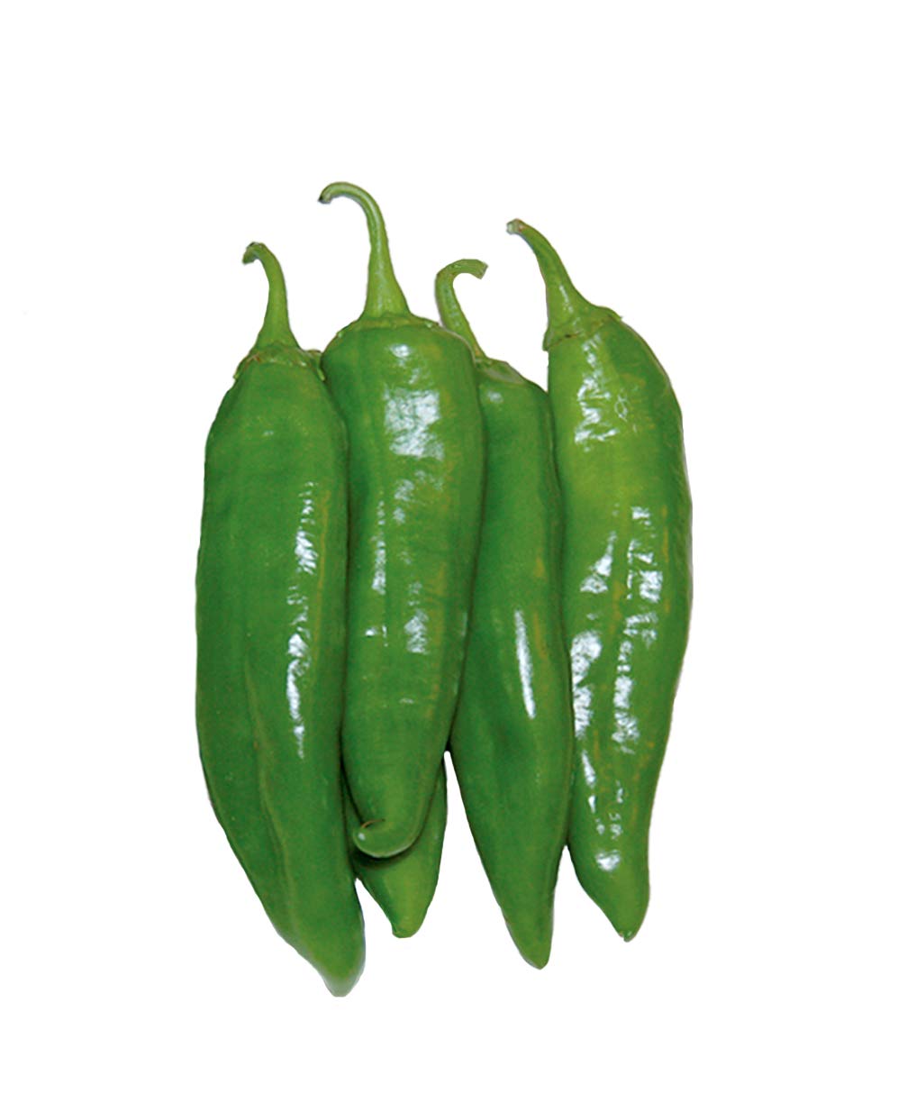 Heritage NuMex 6-4 Mild Green Chile Seeds - 30 Non-GMO Seeds for Home Gardening, Cooking & Salsa Making