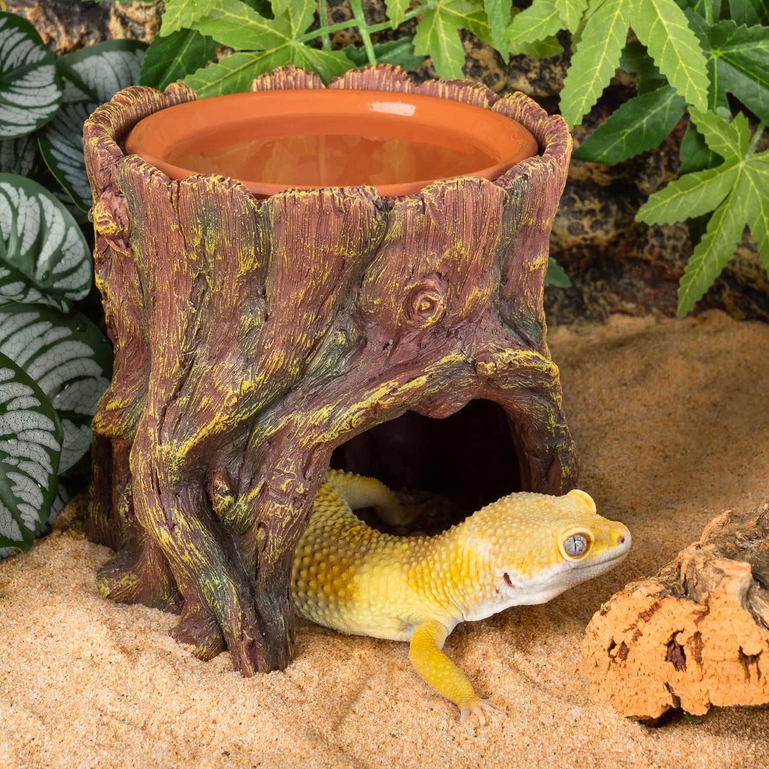 REPTIZOO Reptile Hide Cave - Moisture Retaining Resin Shelter with Clay Water Basin for Humidifying & Shedding Aid - Ideal for Leopard Geckos, Amphibians & Reptile Pets - Perfect for Terrariums & Habitat Enrichment