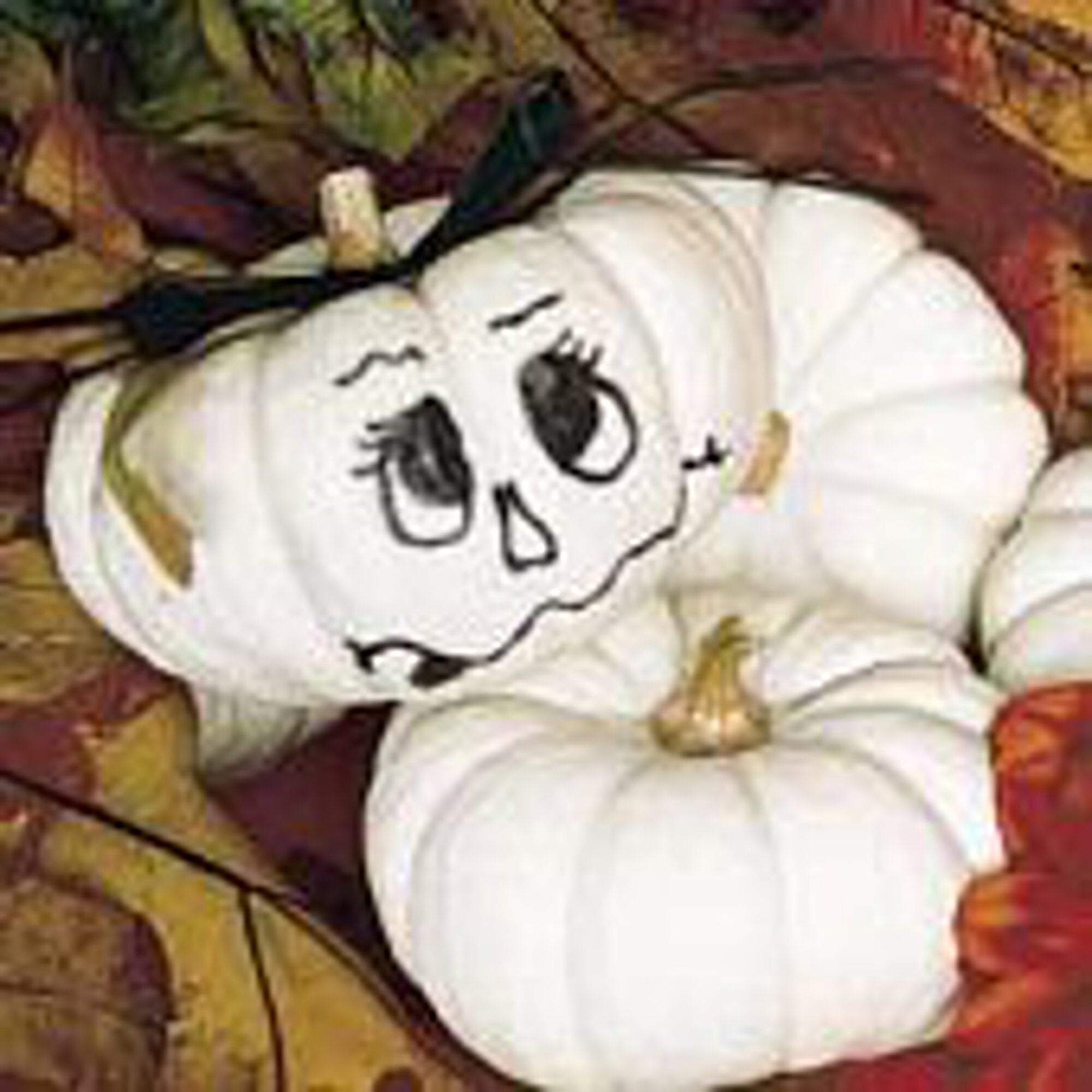Organic Baby Boo Pumpkin Seeds (25+ Seeds) - Non-GMO, Heirloom Variety for Vegetable & Herb Gardens - Perfect for Fall Decor, Halloween Crafts & Home Gardening