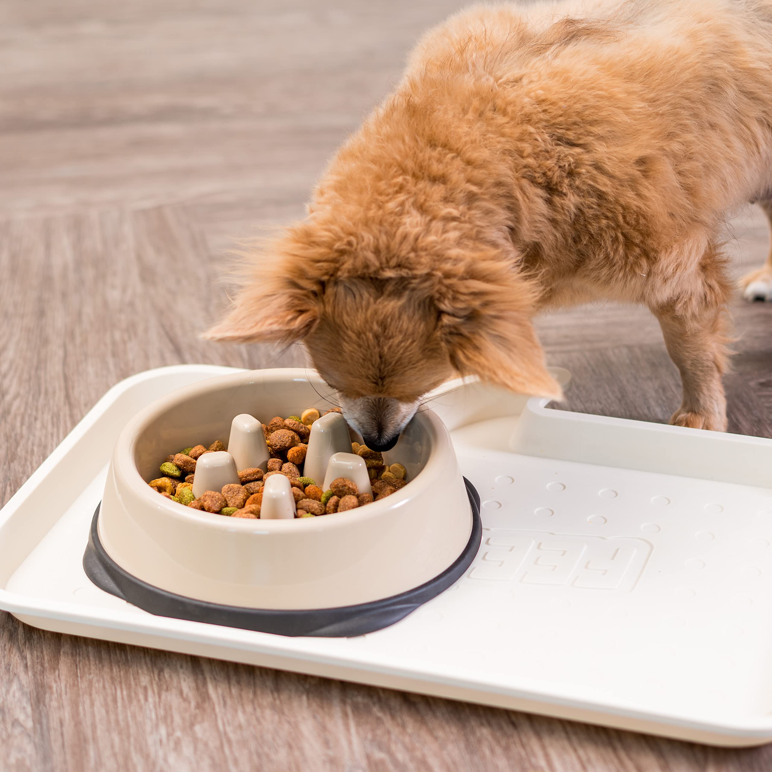 IRIS USA 2-Cup Slow Feeder Dog Bowl - Anti-Choking & Anti-Slip Puzzle Bowl for Healthy Digestion - Slow Eating Bowl for Long Snouted Dogs, Cats & Pets - BPA-Free & PVC-Free - Beige/Black - Perfect for Mealtime Training and Portion Control