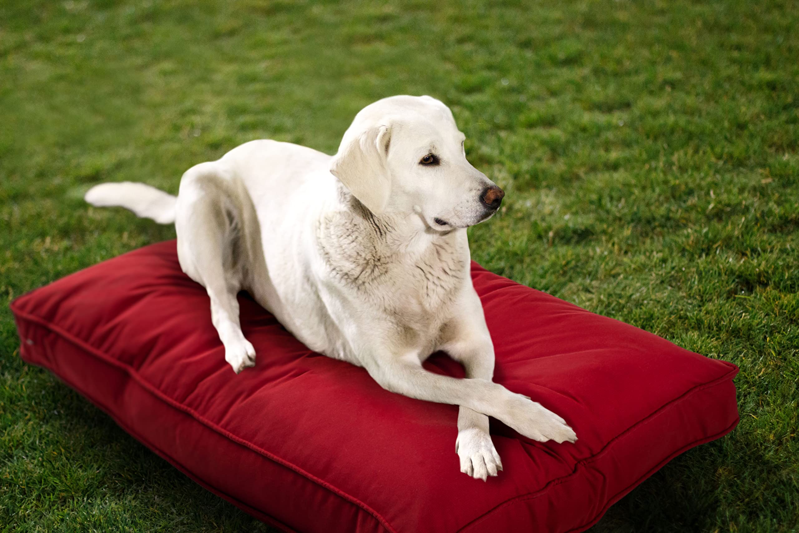 Sunbrella Washable Chew Proof Dog Bed - Indoor/Outdoor Pet Mat for Home & Travel (Small, Red)