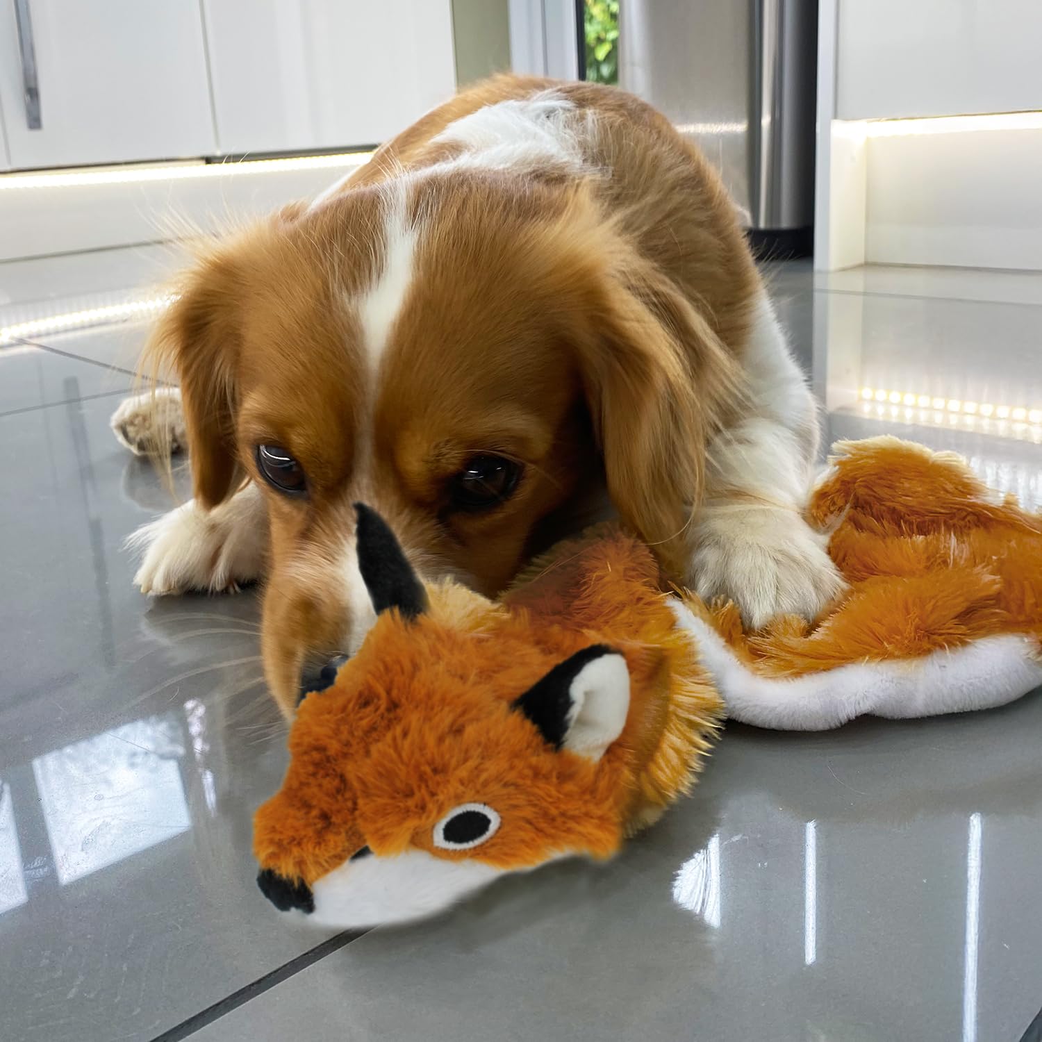 2-in-1 Squeaky Dog Toy for All Pets - No Stuffing, Durable & Soft - Indoor Play & Bottle Holder (Fox, Large)