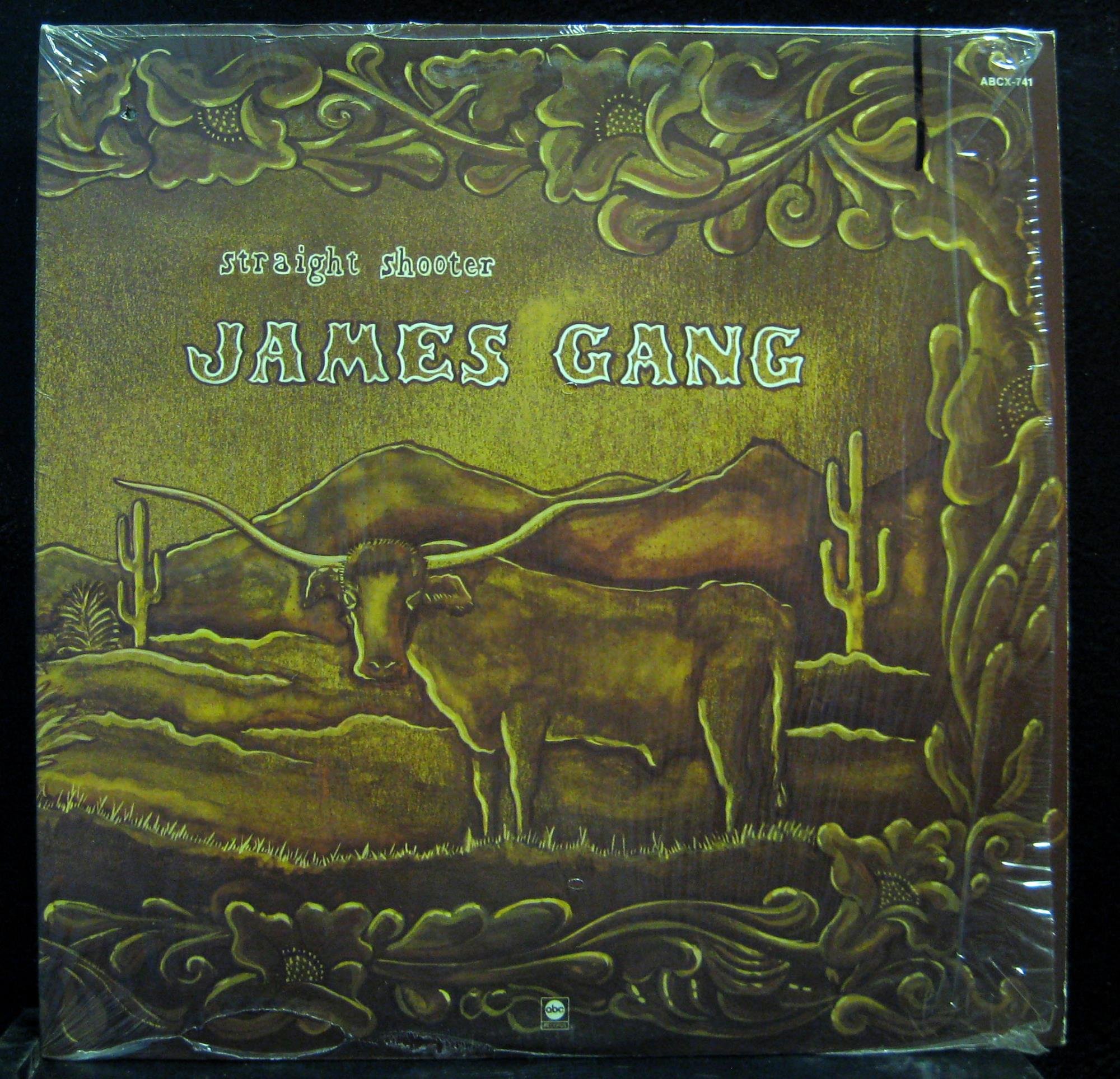 James Gang - Straight Shooter Vinyl Record LP | Classic Rock Music Album for Collectors & Audiophiles | Perfect for Home Listening & Vintage Music Enthusiasts