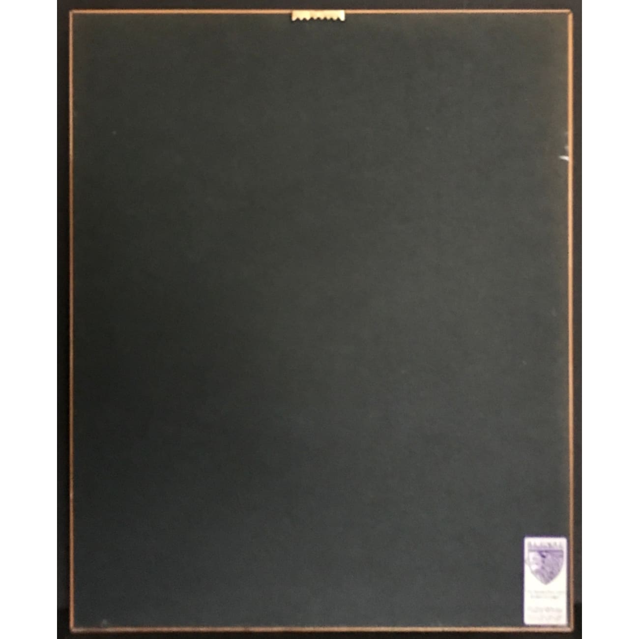 Fiona Apple Tidal RIAA Certified Gold Album Award - Perfect for Music Collectors & Fans, Great for Display in Home or Office