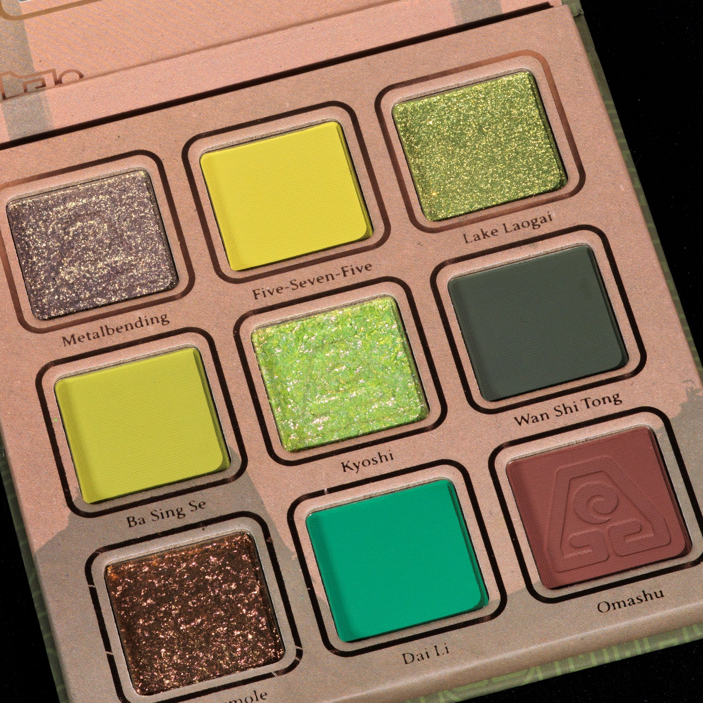 Avatar the Last Airbender Inspired Earth Tone Eyeshadow Palette - 12 Highly Pigmented Mineral Makeup Shades for Natural & Smoky Eye Looks - Perfect for Cosplay, Halloween & Everyday Wear