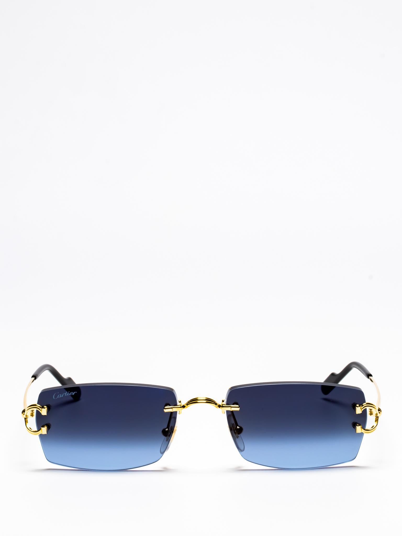 Cartier CT0550S 002 C Décor Sunglasses - Luxury Designer Shades for Women & Men | Perfect for Beach, Driving & Fashion Outfits
