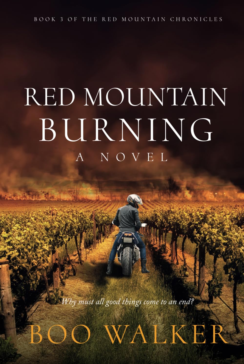 Red Mountain Burning: A Novel - Book 1 in the Red Mountain Chronicles Series | Contemporary Fiction, Family Drama & Small-Town Secrets | Perfect for Book Clubs & Vacation Reading