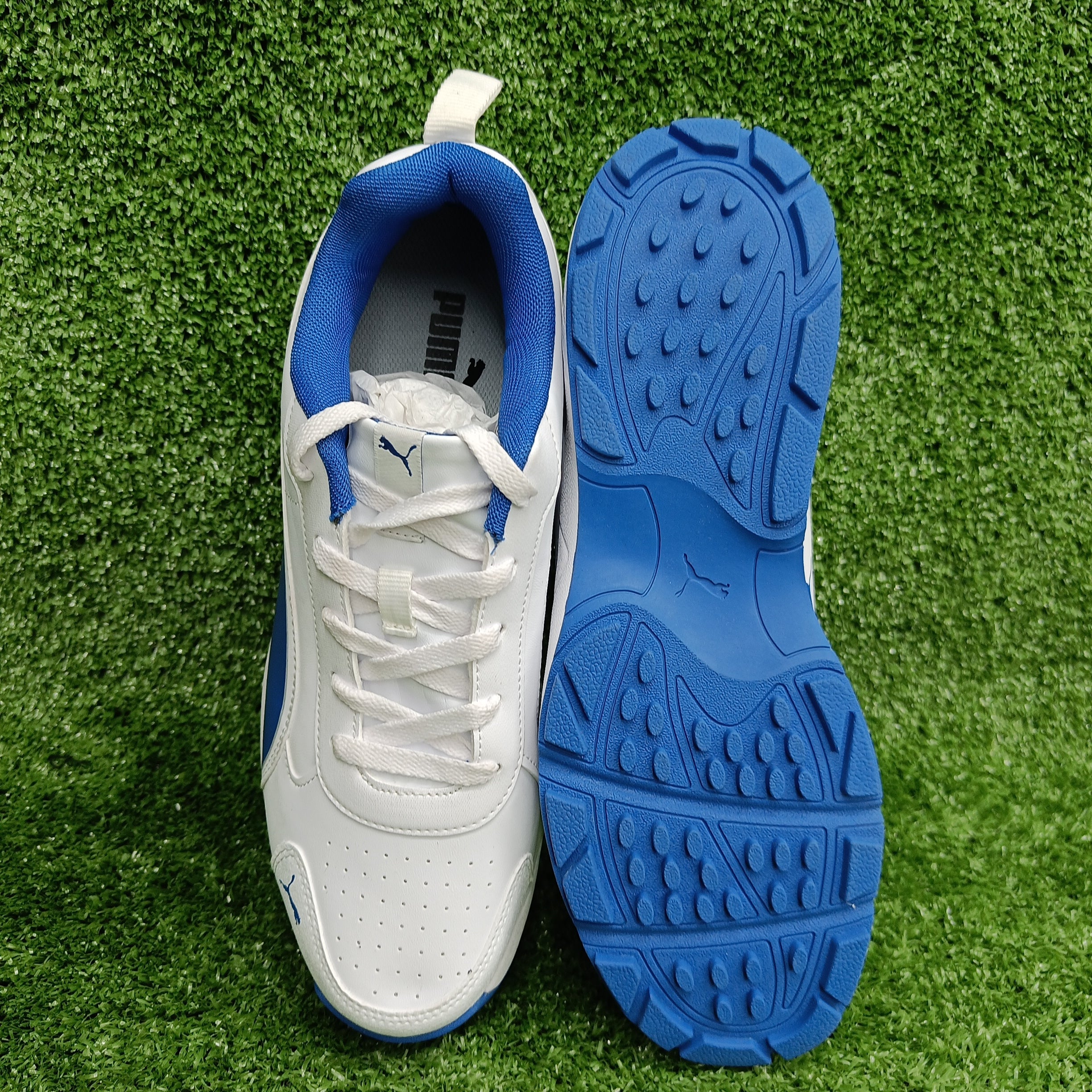 Puma White & Blue Team Royal Cricket Shoes - Lightweight & Durable for Men & Women - Perfect for Cricket Matches, Training & Outdoor Sports