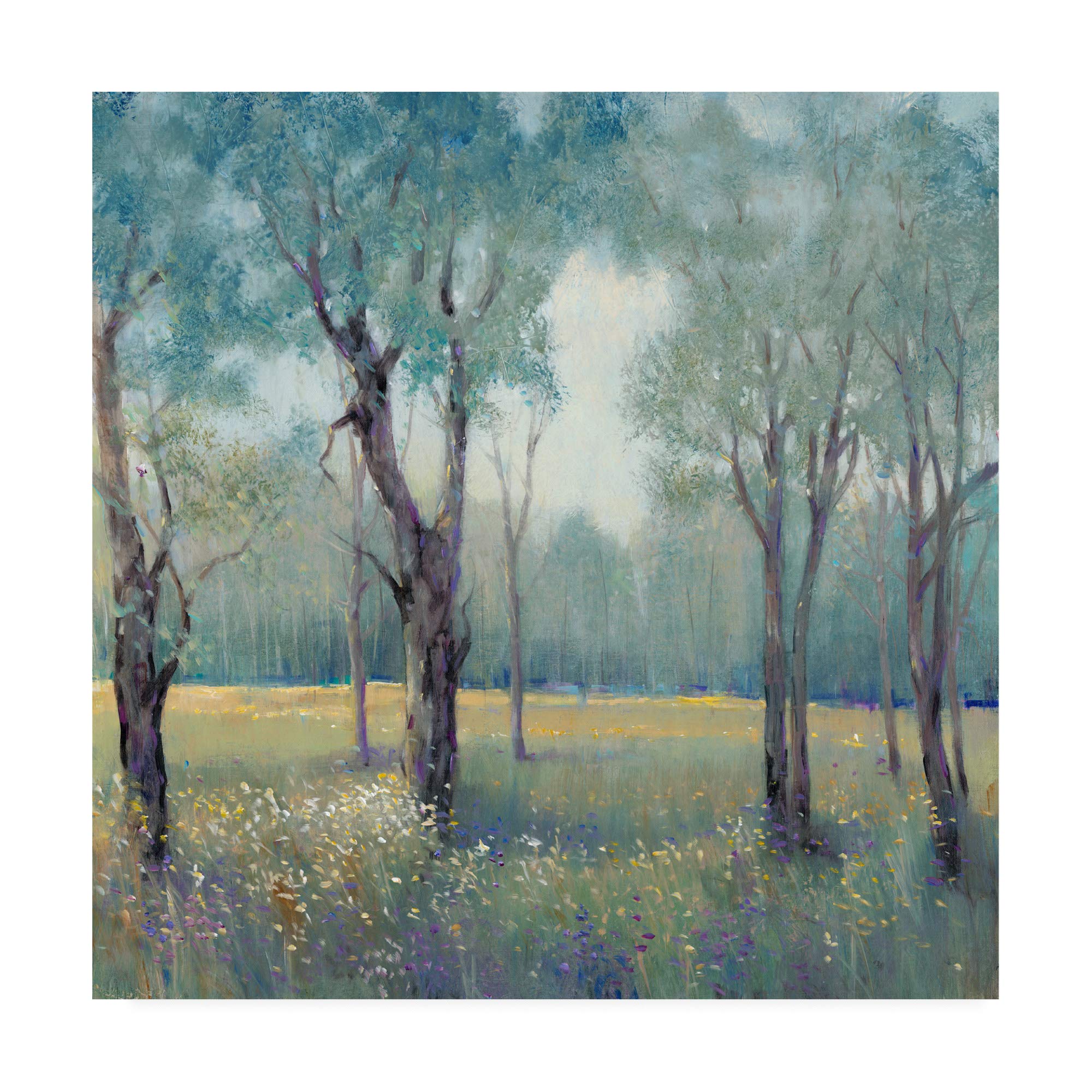 Trademark Fine Art Tim Otoole Morning Mist 18x18 Inch Canvas Wall Art - Perfect for Living Room, Bedroom & Office Decor