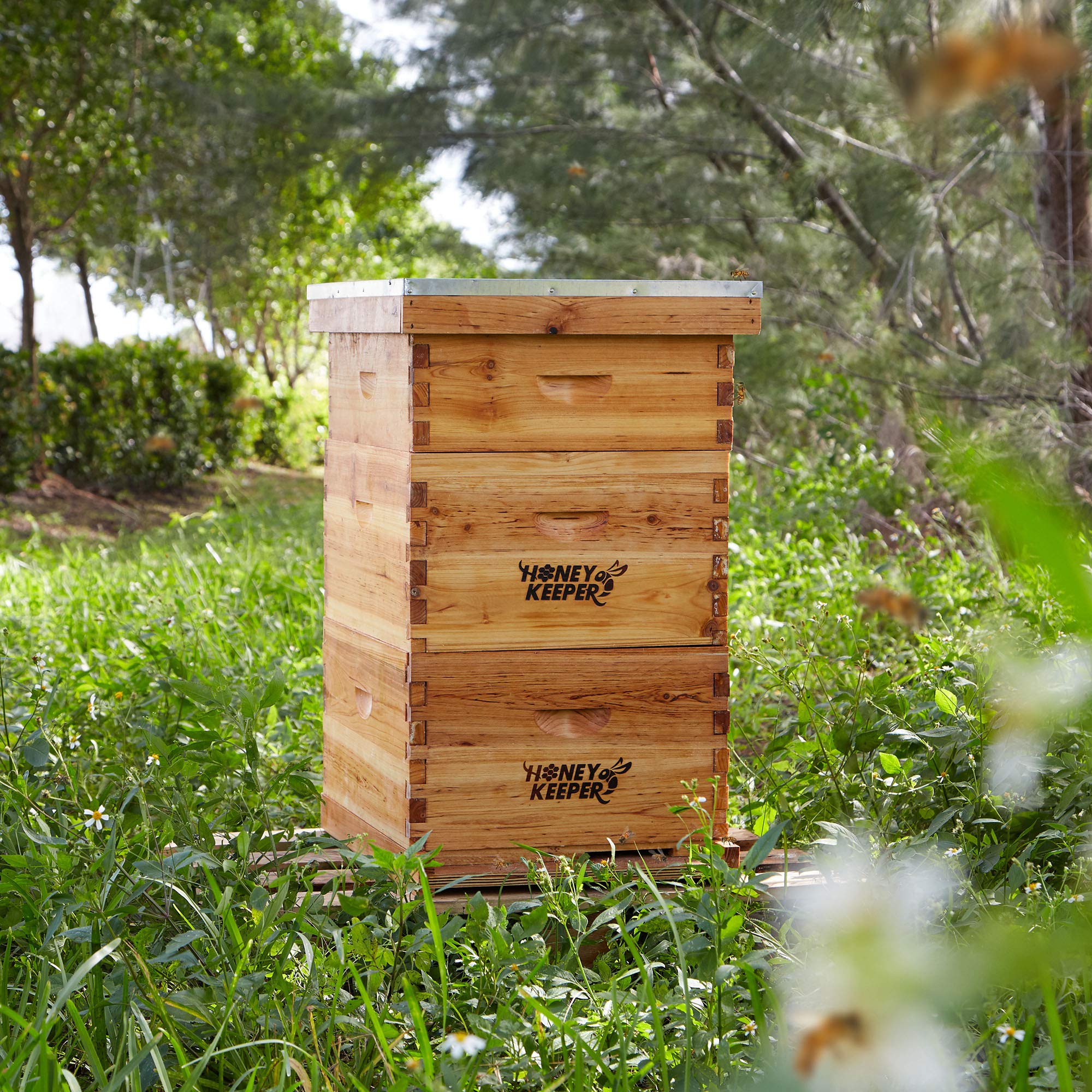 10 Frame Langstroth Beehive Box Kit - 100% Beeswax Coated Deep & Medium Wooden Frames with Waxed Foundations - Complete Beekeeping Starter Set for Honey Production & Pollinator Gardens