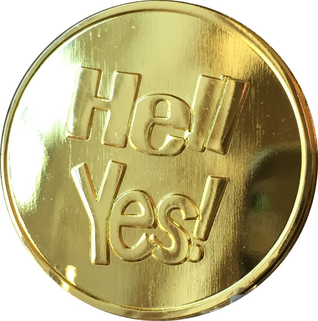 RecoveryChip Hell Yes - Hell No Gold Decision Making Flip Coin - Fun Medallion for Games, Parties & Important Life Choices