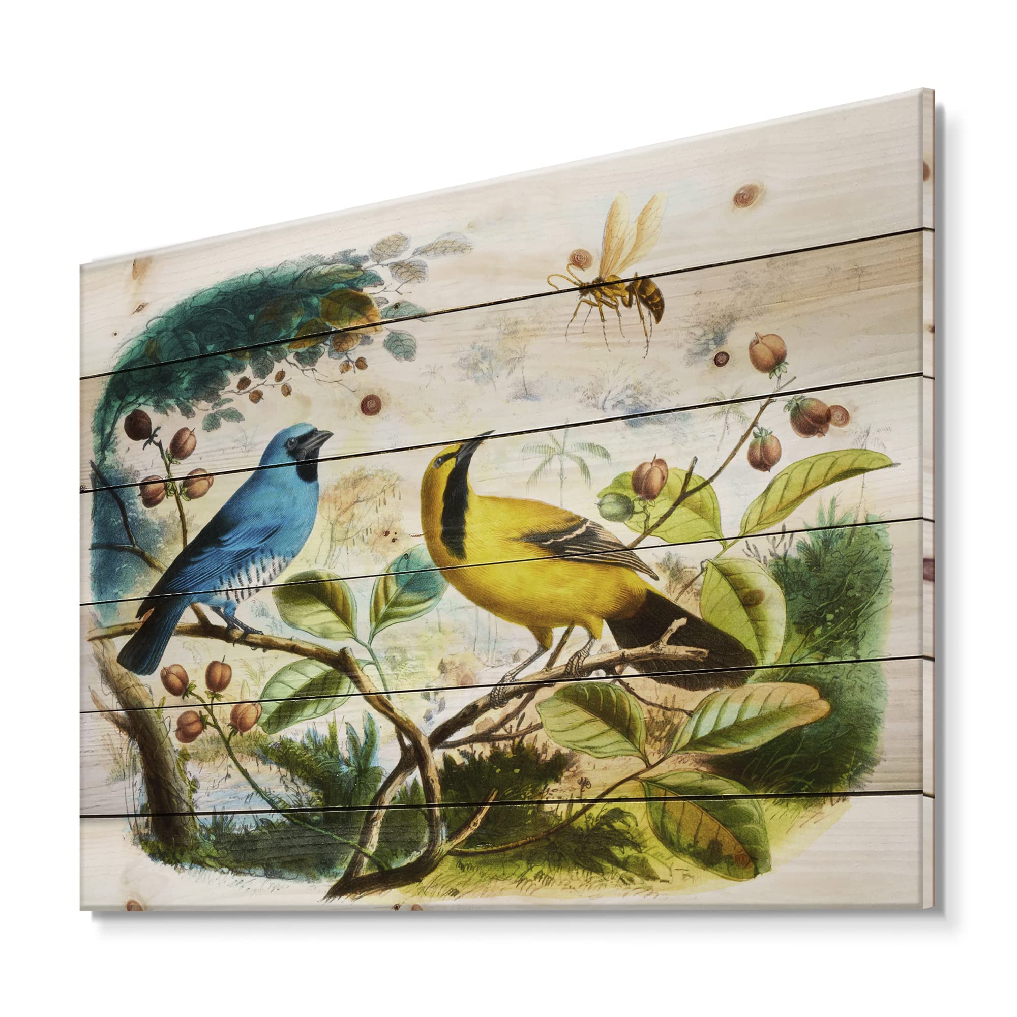 DesignQ Blue & Yellow Bird in the Wild Wood Wall Art - Traditional Pine Wood Decor with Large Animal Prints - Perfect for Living Room, Bedroom & Office Decoration