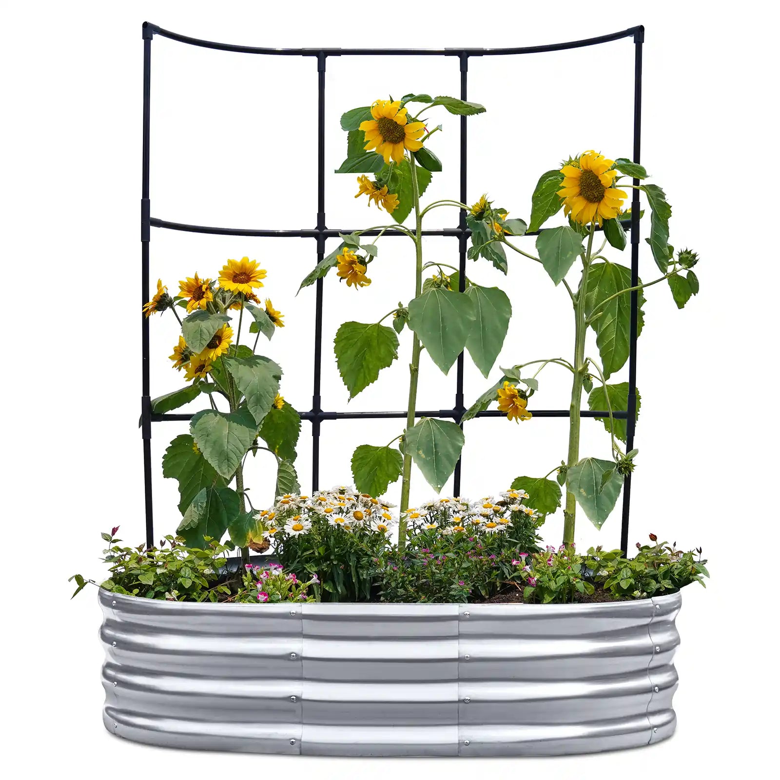 Elevated Raised Garden Bed with Wall Trellis - Perfect for Small Spaces, Urban Gardening & Vertical Planting - Ideal for Vegetables, Flowers & Herbs in Backyards, Patios & Balconies
