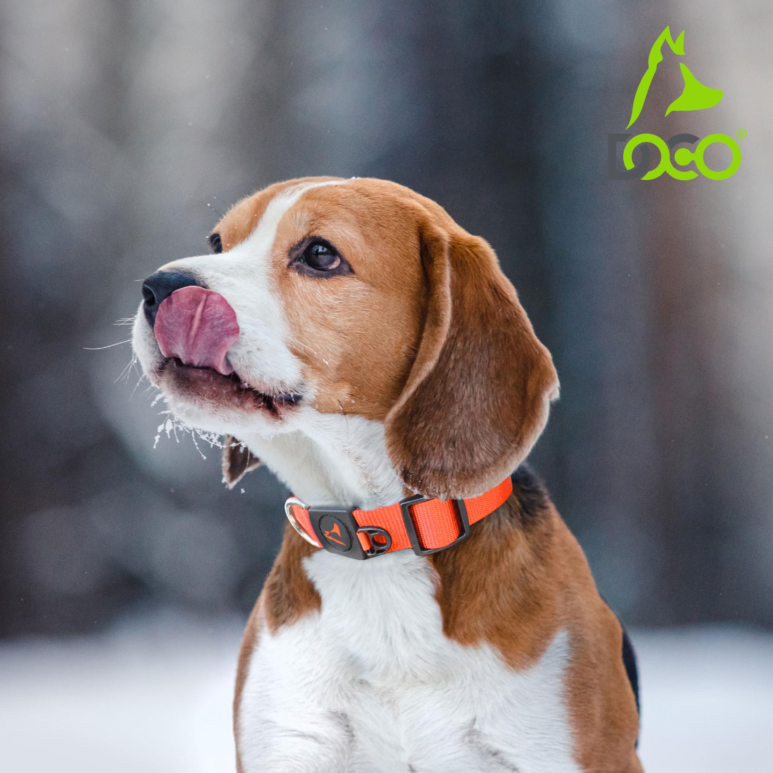 DOCO Signature Nylon Dog Collar - Adjustable Pet Collar with Metal Buckle for Small Medium Large Dogs - Perfect for Walking, Training & Outdoor Adventures