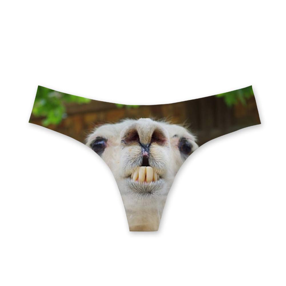 Coloranimal Cute 3D Animal Print Women's Sexy Seamless G-String Thong Panties - Comfortable Lingerie for Date Night & Special Occasions