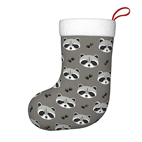 Funny Raccoon
