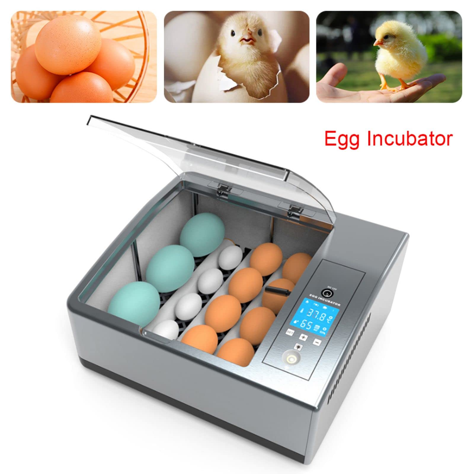 Automatic Egg Incubator for 16 Eggs with LCD Display - Digital Poultry Hatcher for Chicken, Duck & Quail Eggs with Auto-Turning Function | Perfect for Home Farming, Classroom Projects & Backyard Poultry Breeding