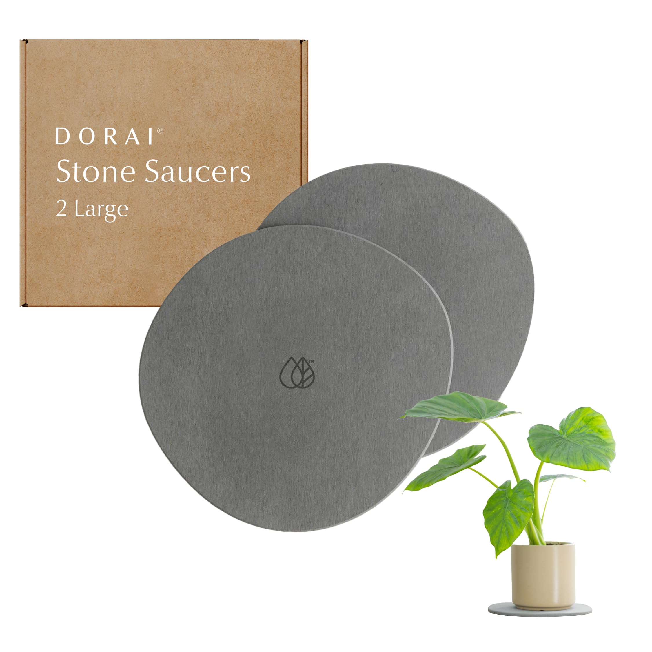 Dorai Stone Plant Pot Saucer - 2 Large Diatomite Water-Catching Trays for Indoor Plants | Perfect for Succulents, Herbs & Houseplants | Prevents Water Damage to Tables & Floors