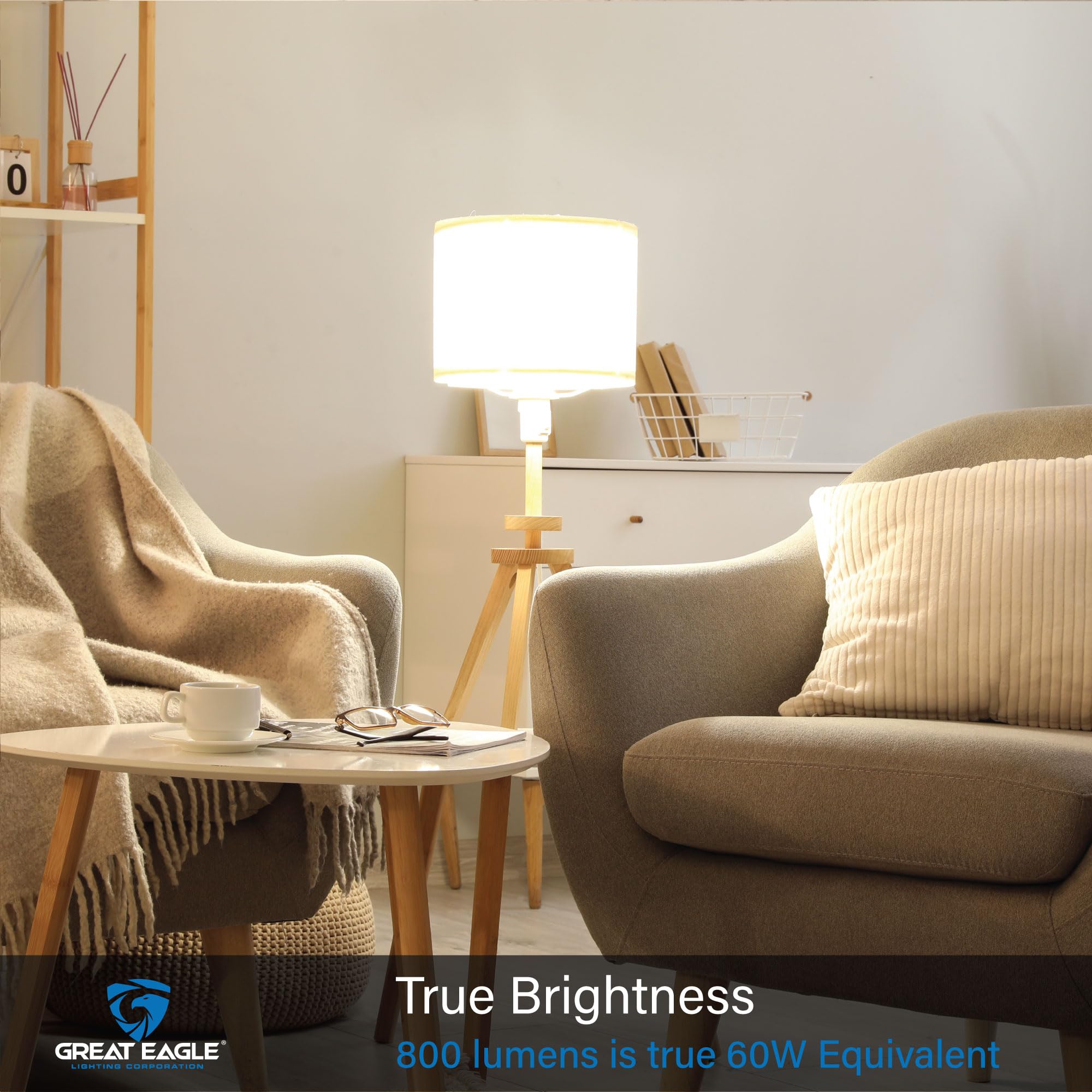 Great Eagle A19 LED Light Bulbs 60W Equivalent, 5000K Daylight White, 9W Non-Dimmable, 800 Lumens, UL Listed (4-Pack) - Energy Efficient Lighting for Home, Office, and Workspace