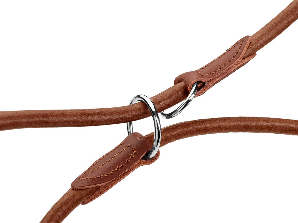 HUNTER UP Round & Soft Adjustable Dog Training Leash - 79 Inch Durable Nylon Pet Leash for Small to Large Dogs - Perfect for Walking, Running, and Obedience Training
