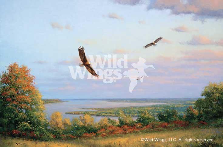 Eagles Over Lake Pepin Signed Art Print - Limited Edition Wildlife Wall Decor for Home & Office