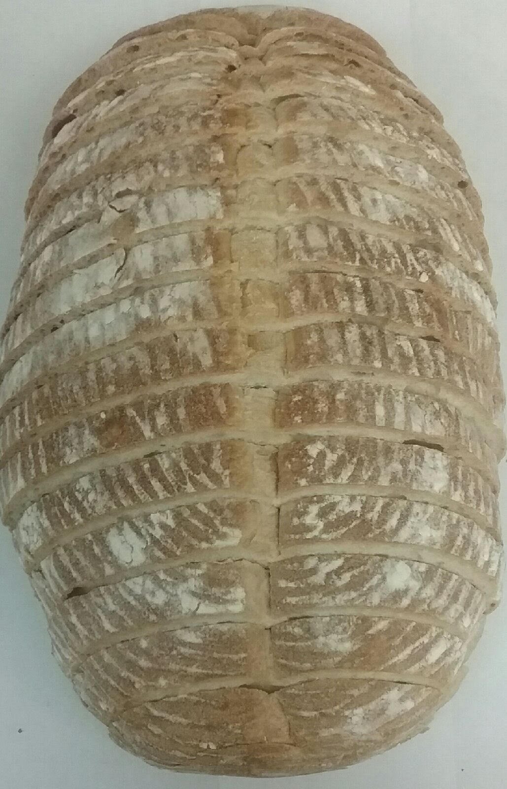 Black Bull Sourdough Boule Bread - Pack of 2 (24 oz Rounds) | Artisan Bakery Fresh Bread for Sandwiches, Toast & Charcuterie Boards | Perfect for Parties, Picnics & Family Dinners