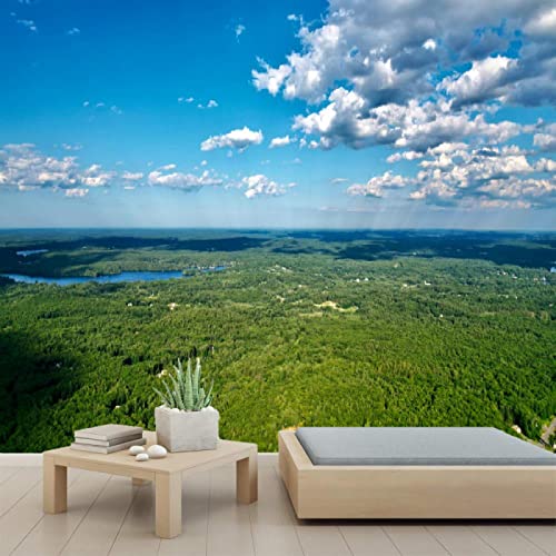 3D Forest Aerial View Peel and Stick Wallpaper - Self-Adhesive PVC Wall Mural for Bedroom & Study Room - 78