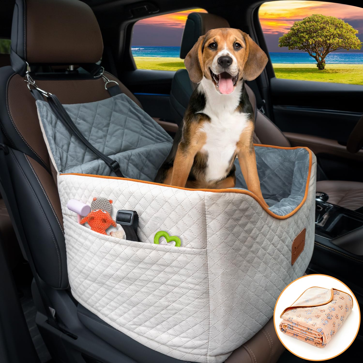 AlfaTok Memory Foam Dog Car Booster Seat - Washable Removable Cover, Non-Slip Elevated Pet Seat for Small Dogs Up to 25lbs - Includes Safety Belt, Storage Pocket & Blanket - Perfect for Road Trips & Car Travel with Your Pet