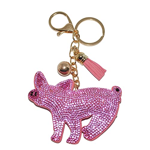 Playful Pig