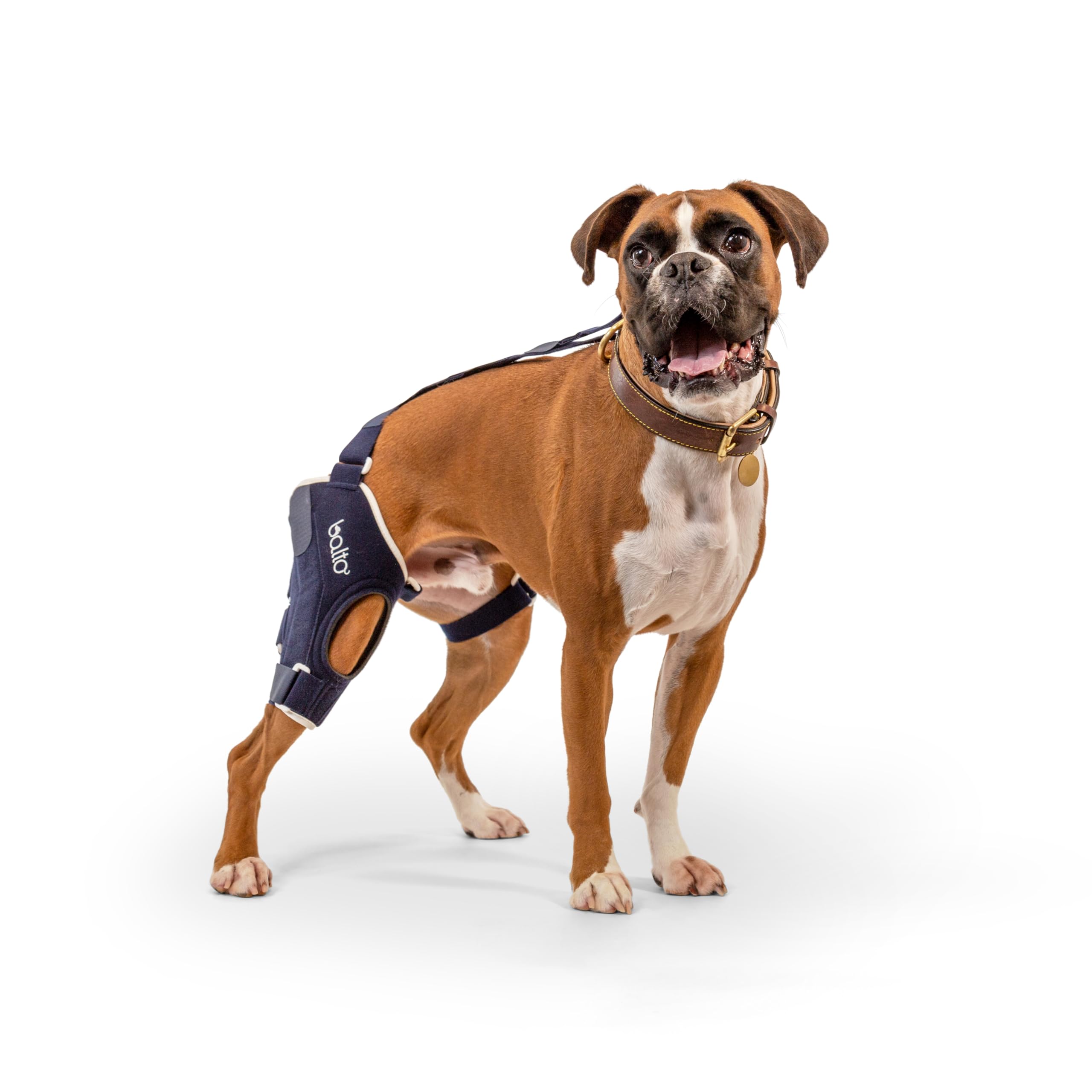 Balto Jump CCL Brace for Dogs – Adjustable Knee Support with Aluminum Splints – Pre & Post-Surgery Recovery Aid – Prevents Reinjury – Left Leg, XXS – Ideal for Active Dogs & Post-Op Care