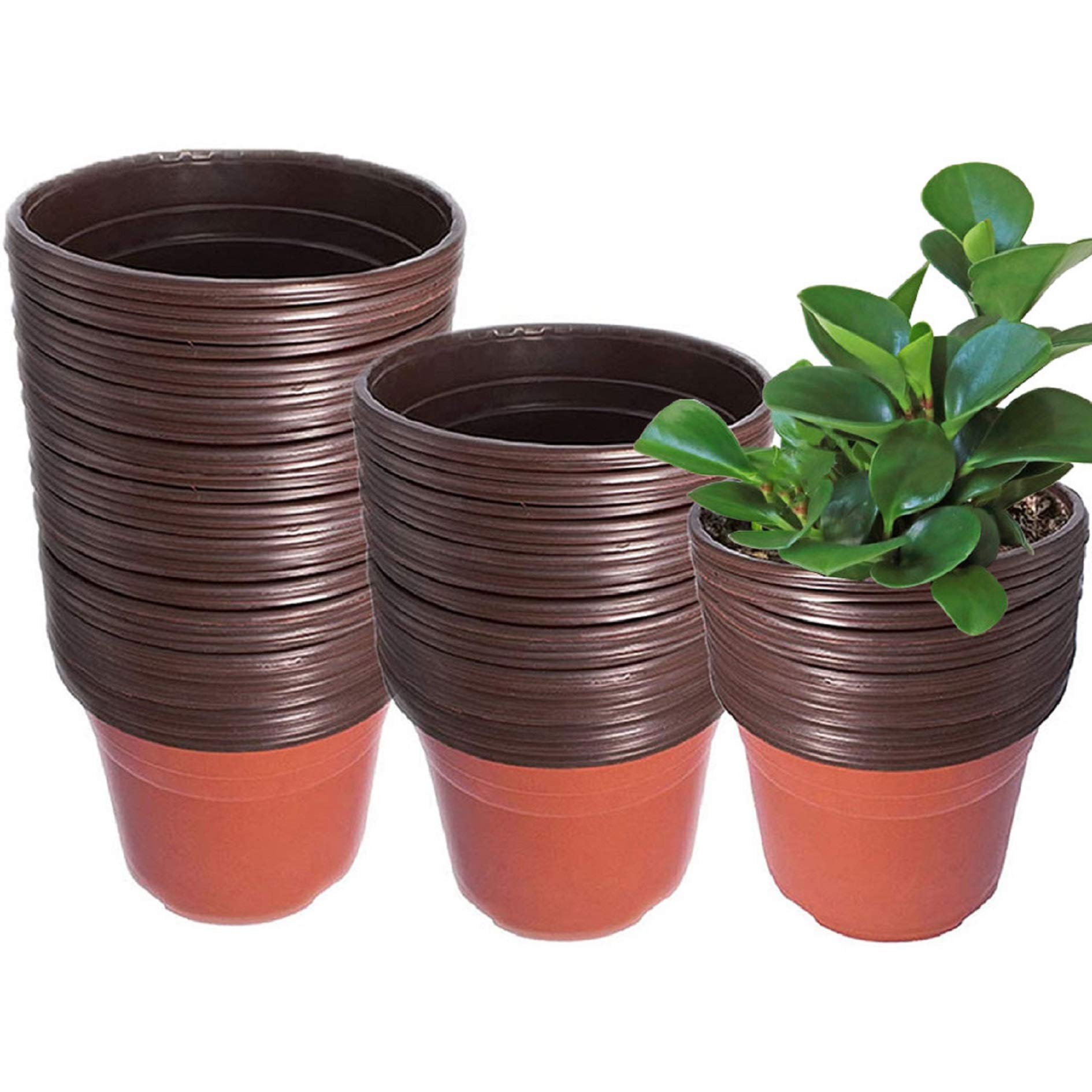 100Pcs Plastic Seedling Pots - Reusable Nursery Plant Pots for Seeds Germination, Seedling Growing, Succulents & Herbs | Indoor Gardening, Home Planting, DIY Greenhouse Starter Kit