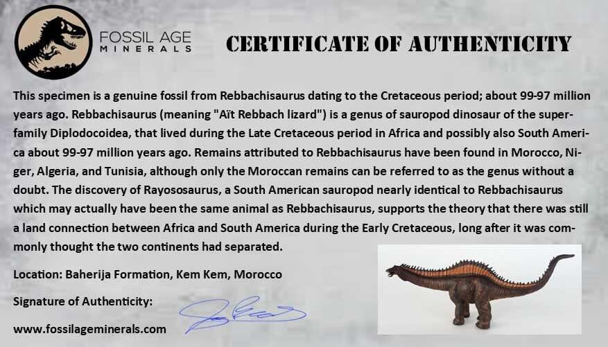 Authentic 0.9
