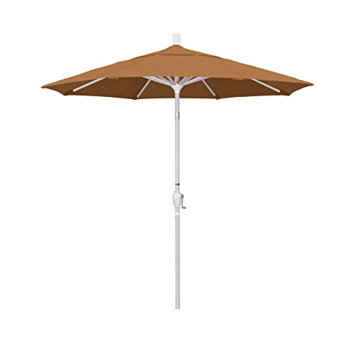 Teak