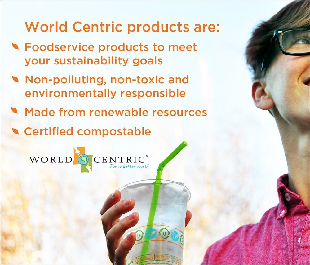 Eco-Friendly 8 oz Compostable Hot Cups by World Centric - 100% Biodegradable FSC Certified Paper Cups, Pack of 1000 (Perfect for Coffee Shops, Offices & Sustainable Events)