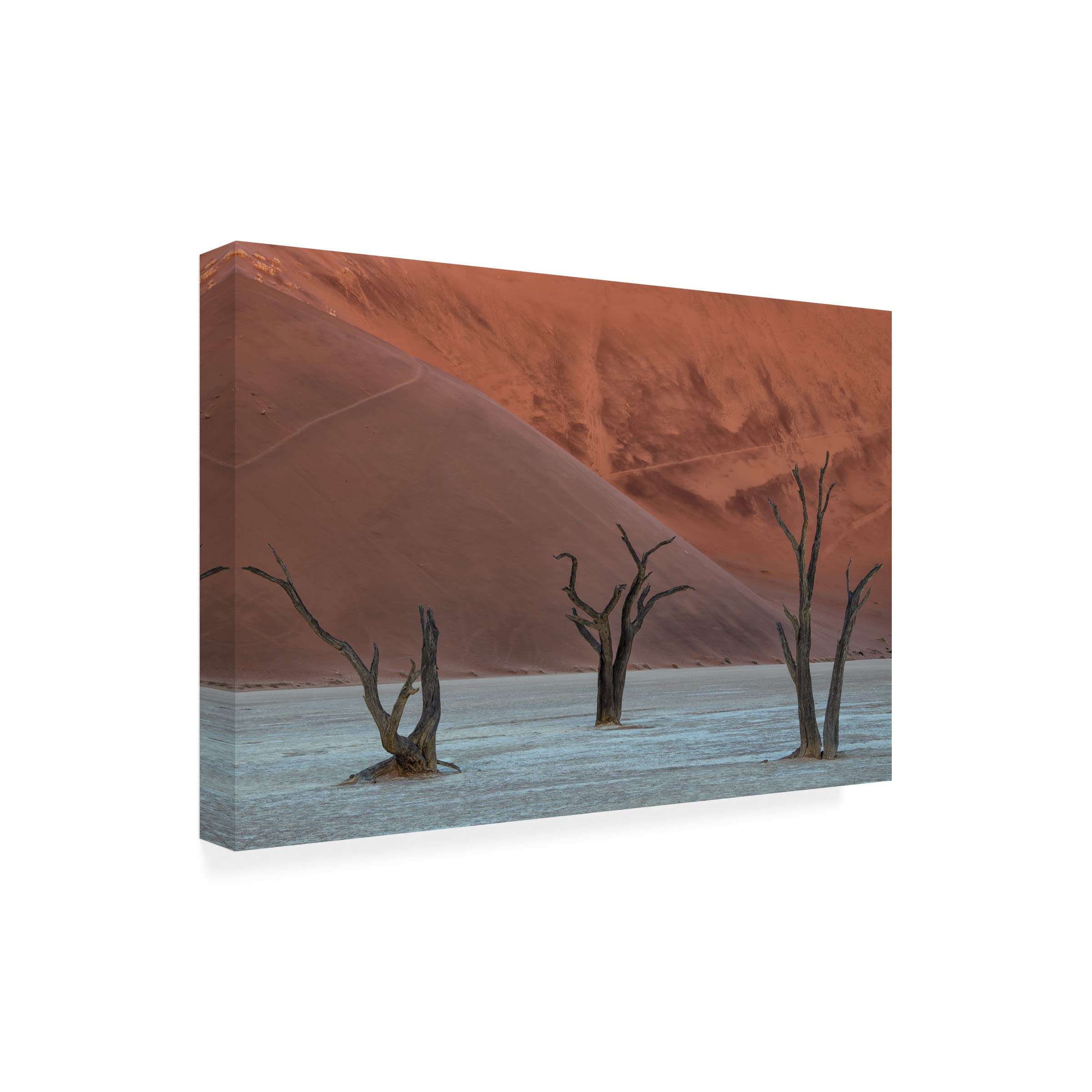 Luigi Ruoppolo 'Deadvlei' Canvas Art Print - Premium Trademark Fine Art for Home & Office Decor | Perfect for Living Room, Bedroom, or Office Wall Art