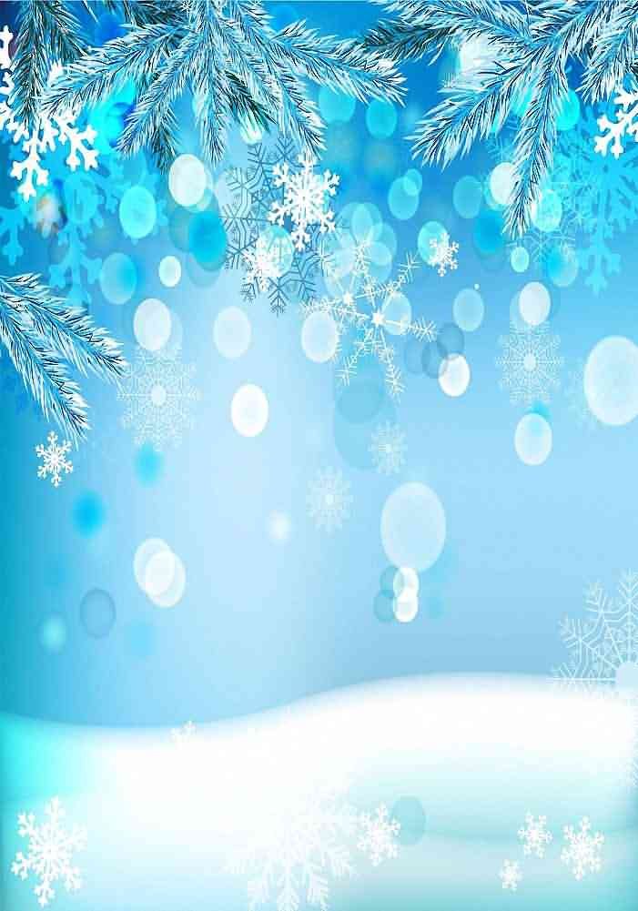 GladsBuy 5x7ft Winter Starlight Backdrop - Photography & Party Decor