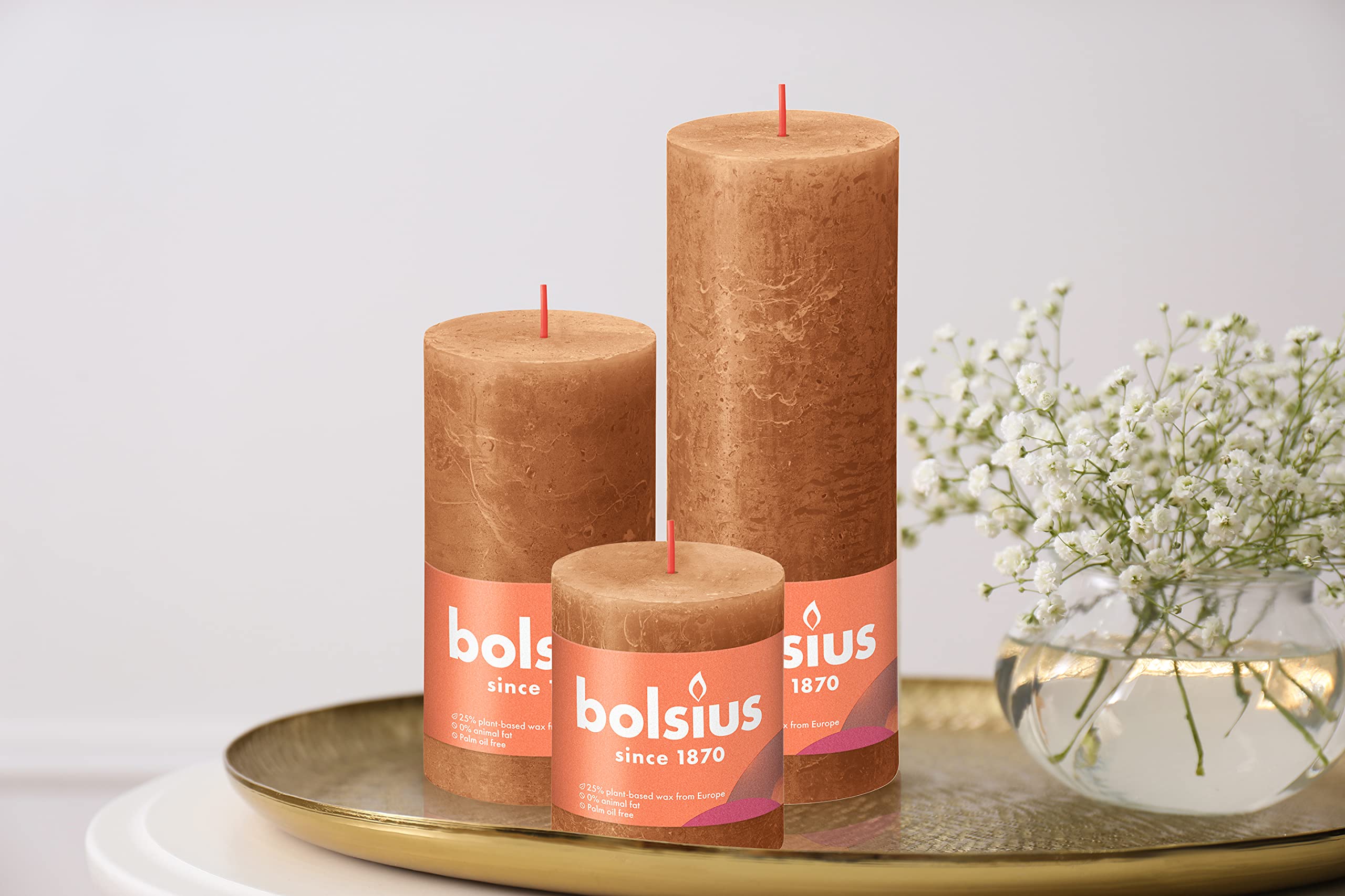 BOLSIUS 4 Pack Spice Brown Rustic Pillar Candles - 2.75