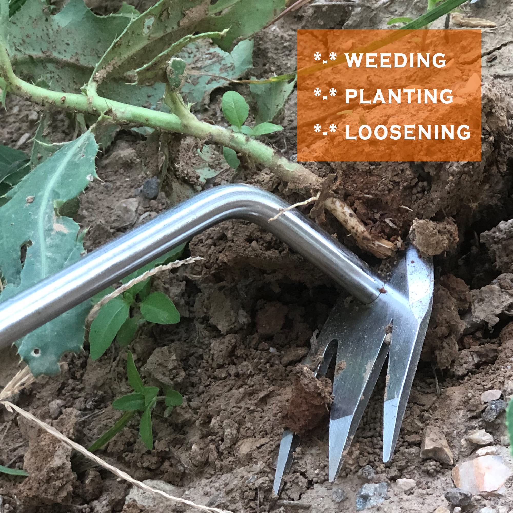 **SHANFEEK M-Shape Claw Weed Puller Tool – Heavy Duty Dandelion & Weed Remover with Solid Hardwood Handle – Perfect for Gardening, Yard Work & Lawn Maintenance**
