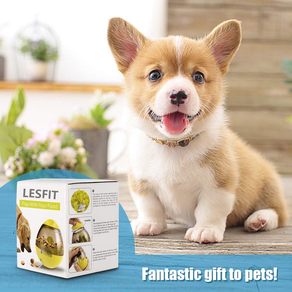 Lesfit Interactive Dog Toys - Enrichment IQ Treat Dispenser Ball for Small Medium Large Dogs | Mental Stimulation Puzzle Toy for Boredom Relief & Training | Indoor Outdoor Use for Playtime & Exercise