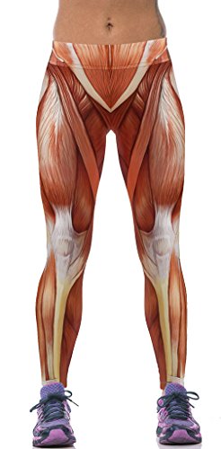 Muscle