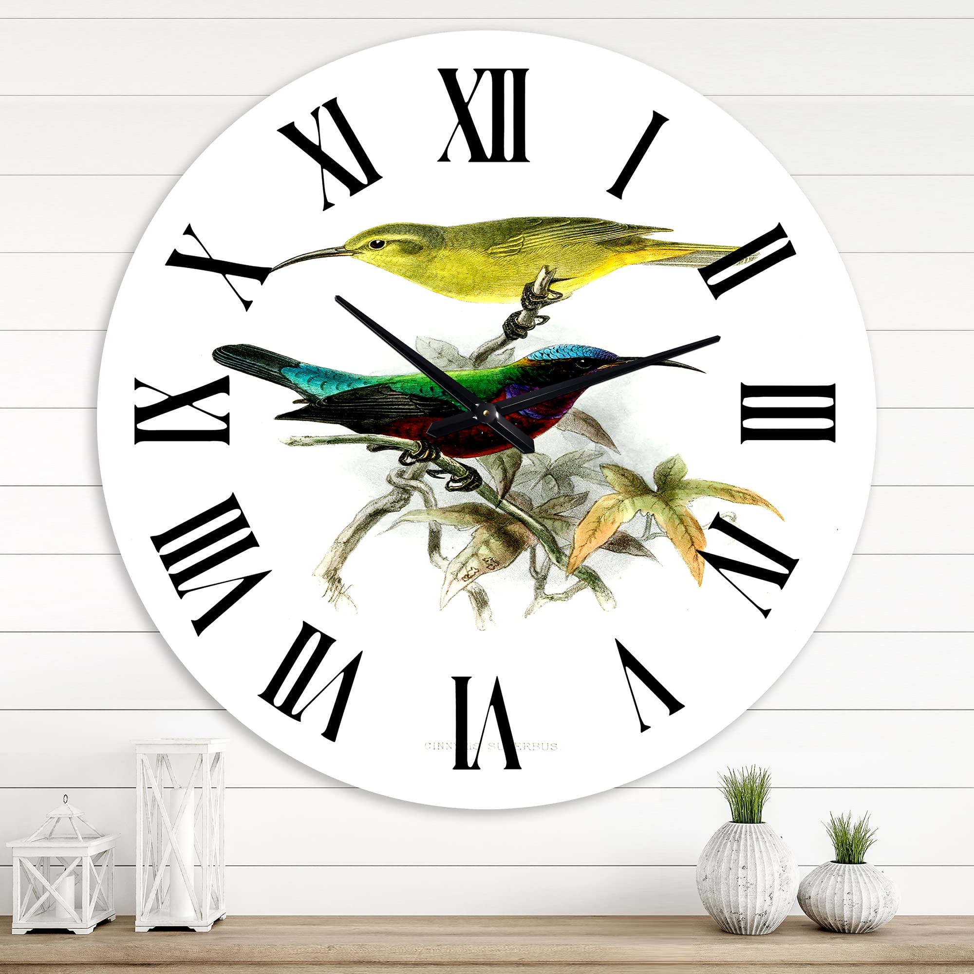 Vintage Australian Birds XV Wall Clock - Large Traditional Design for Home, Bedroom & Office Decor | Nature-Inspired Landscape Wall Art | Perfect for Living Room, Kitchen & Study Spaces